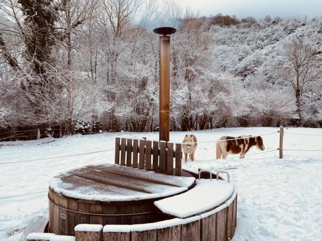 Chalet Le Fario, Bain Nordique Frechet-Aure Eksteriør bilde